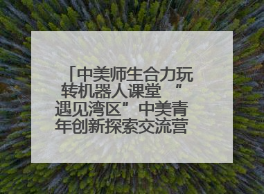 中美师生合力玩转机器人课堂 “遇见湾区”中美青年创新探索交流营在深圳开营