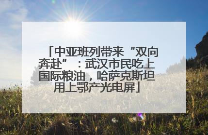 中亚班列带来“双向奔赴”：武汉市民吃上国际粮油，哈萨克斯坦用上鄂产光电屏