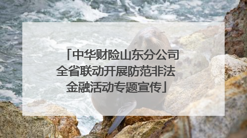 中华财险山东分公司全省联动开展防范非法金融活动专题宣传