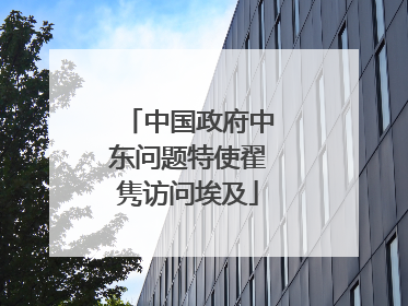 中国政府中东问题特使翟隽访问埃及