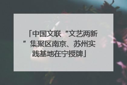 中国文联“文艺两新”集聚区南京、苏州实践基地在宁授牌