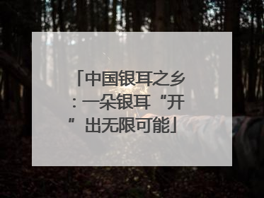 中国银耳之乡：一朵银耳“开”出无限可能