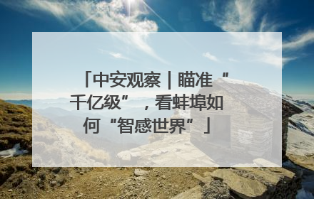 中安观察｜瞄准“千亿级”，看蚌埠如何“智感世界”