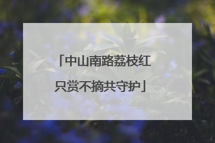 中山南路荔枝红 只赏不摘共守护