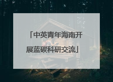 中英青年海南开展蓝碳科研交流