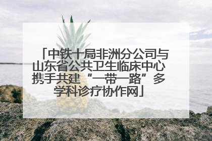 中铁十局非洲分公司与山东省公共卫生临床中心携手共建“一带一路”多学科诊疗协作网