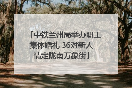 中铁兰州局举办职工集体婚礼 36对新人情定陇南万象街