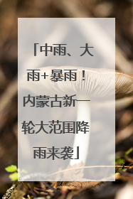 中雨、大雨+暴雨！内蒙古新一轮大范围降雨来袭