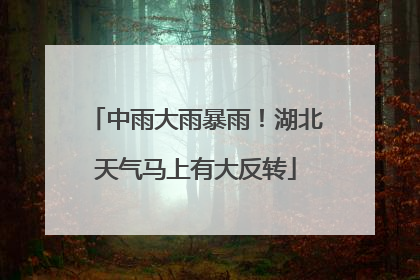 中雨大雨暴雨！湖北天气马上有大反转