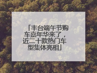 丰台端午节购车嘉年华来了，近二十款热门车型集体亮相