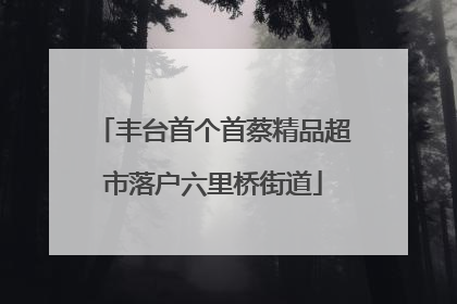 丰台首个首蔡精品超市落户六里桥街道