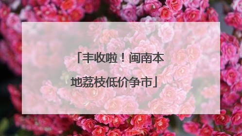 丰收啦！闽南本地荔枝低价争市