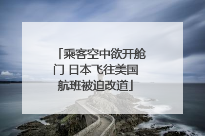 乘客空中欲开舱门 日本飞往美国航班被迫改道