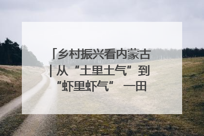 乡村振兴看内蒙古｜从“土里土气”到“虾里虾气” 一田双收模式火出圈
