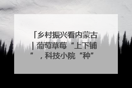 乡村振兴看内蒙古｜葡萄草莓“上下铺”，科技小院“种”出三倍效益