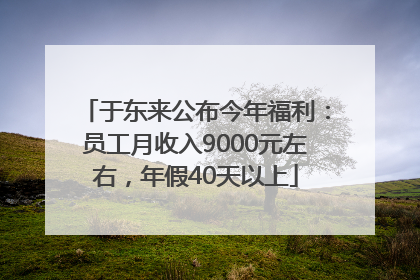 于东来公布今年福利：员工月收入9000元左右，年假40天以上