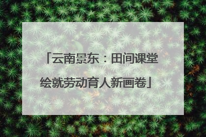云南景东：田间课堂绘就劳动育人新画卷