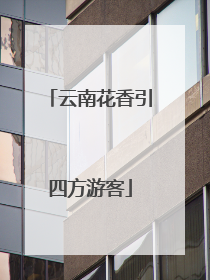 云南花香引四方游客