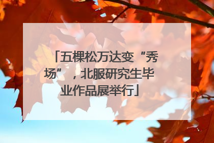 五棵松万达变“秀场”，北服研究生毕业作品展举行