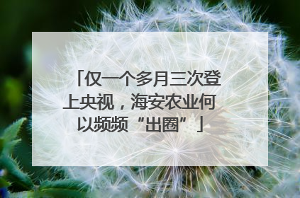 仅一个多月三次登上央视，海安农业何以频频“出圈”