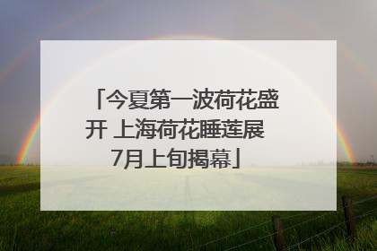今夏第一波荷花盛开 上海荷花睡莲展7月上旬揭幕