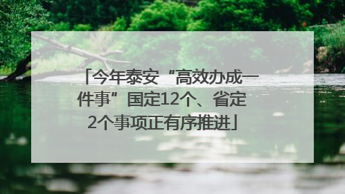 今年泰安“高效办成一件事”国定12个、省定2个事项正有序推进