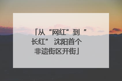 从“网红”到“长红” 沈阳首个非遗街区开街