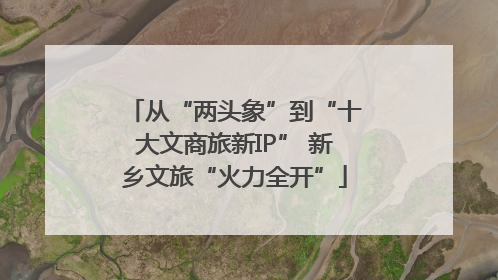 从“两头象”到“十大文商旅新IP” 新乡文旅“火力全开”