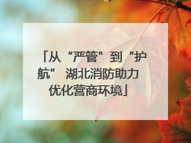 从“严管”到“护航” 湖北消防助力优化营商环境