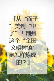 从“面子”美到“里子”！荆州这个“全国文明村镇”是怎样炼成的？