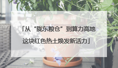 从“陇东粮仓”到算力高地 这块红色热土焕发新活力