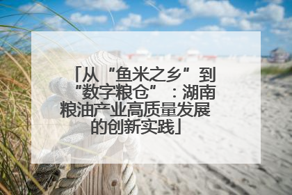 从“鱼米之乡”到“数字粮仓”：湖南粮油产业高质量发展的创新实践