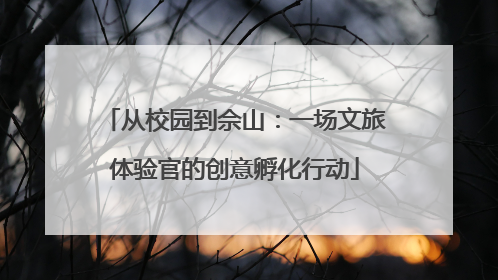 从校园到佘山：一场文旅体验官的创意孵化行动