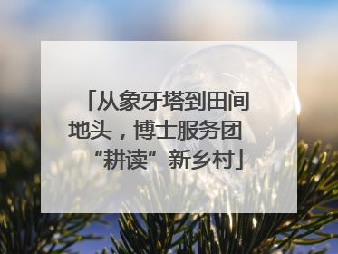 从象牙塔到田间地头，博士服务团“耕读”新乡村