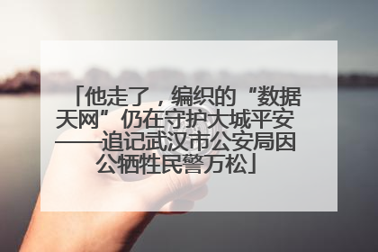他走了，编织的“数据天网”仍在守护大城平安——追记武汉市公安局因公牺牲民警万松