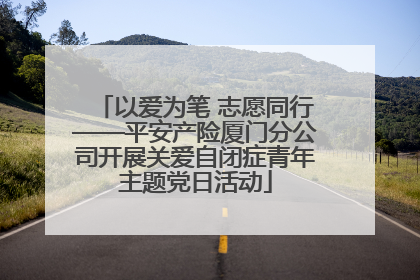 以爱为笔 志愿同行——平安产险厦门分公司开展关爱自闭症青年主题党日活动