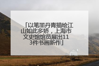以笔墨丹青描绘江山如此多娇，上海市文史馆馆员展出113件书画新作