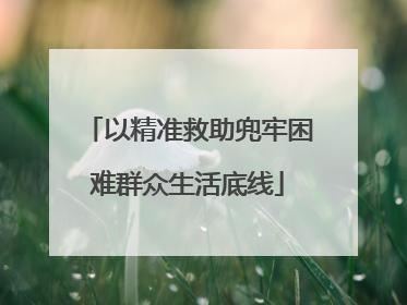 以精准救助兜牢困难群众生活底线