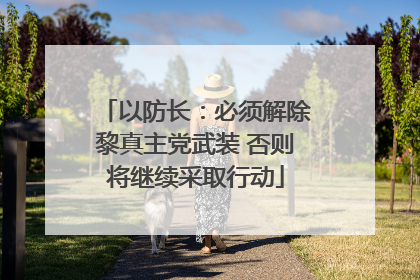 以防长：必须解除黎真主党武装 否则将继续采取行动