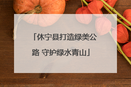 休宁县打造绿美公路 守护绿水青山