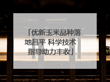 优新玉米品种落地昌平 科学技术指导助力丰收