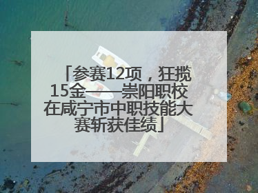 参赛12项，狂揽15金——崇阳职校在咸宁市中职技能大赛斩获佳绩