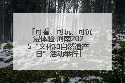 可看、可玩、可沉浸体验 河南2025“文化和自然遗产日”活动举行