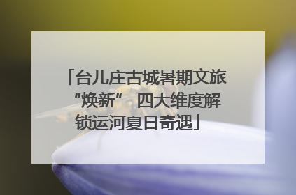 台儿庄古城暑期文旅“焕新” 四大维度解锁运河夏日奇遇