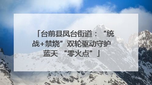 台前县凤台街道：“统战+禁烧”双轮驱动守护蓝天 “零火点”