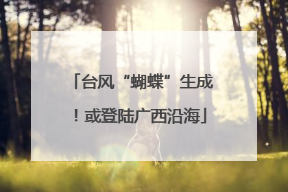 台风“蝴蝶”生成！或登陆广西沿海