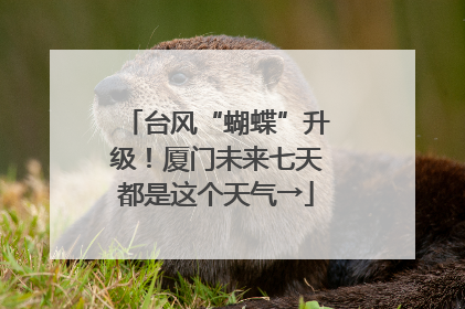 台风“蝴蝶”升级！厦门未来七天都是这个天气→