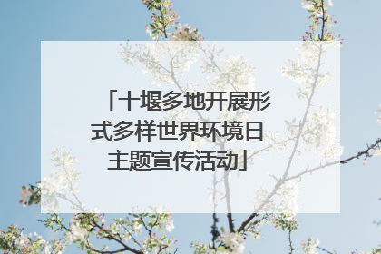 十堰多地开展形式多样世界环境日主题宣传活动