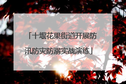 十堰花果街道开展防汛防灾防溺实战演练