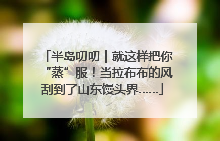 半岛叨叨｜就这样把你“蒸”服！当拉布布的风刮到了山东馒头界……